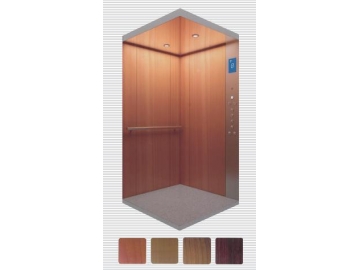 湖南別墅電梯-VEB-H003別墅電梯